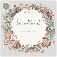 Papiery do scrapbookingu i rękodzieła  WOODLAND 6x6 cali