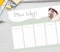 plan lekcji z kapibarą - arkusz do uzupełniania PDF