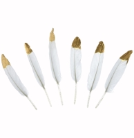 Piórka dekoracyjne, białe ze złotą końcówką