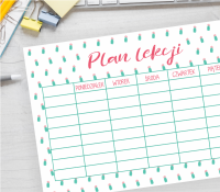 Plan lekcji do druku - KAKTUSY