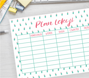 Plan lekcji do druku - KAKTUSY