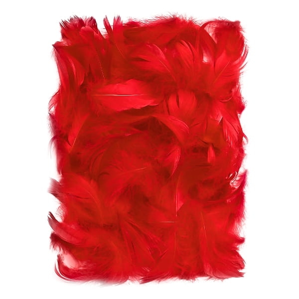 Piórka dekoracyjne, czerwone - SweetPrint.pl