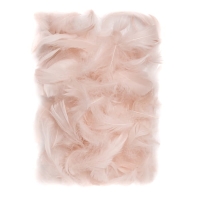 Piórka dekoracyjne,  nude