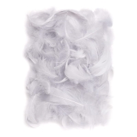 Piórka dekoracyjne, szare