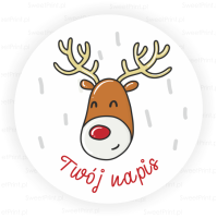 Naklejki świąteczne z reniferem - CHRISTMAS FUN
