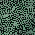 Kuretake Clean Color Dot - dwustronny pisak metaliczny w kolorze zielonym- SweetPrint.pl