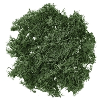 Mech dekoracyjny ZIELONY 30g.