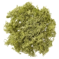 Mech dekoracyjny JASNOZIELONY 30g.